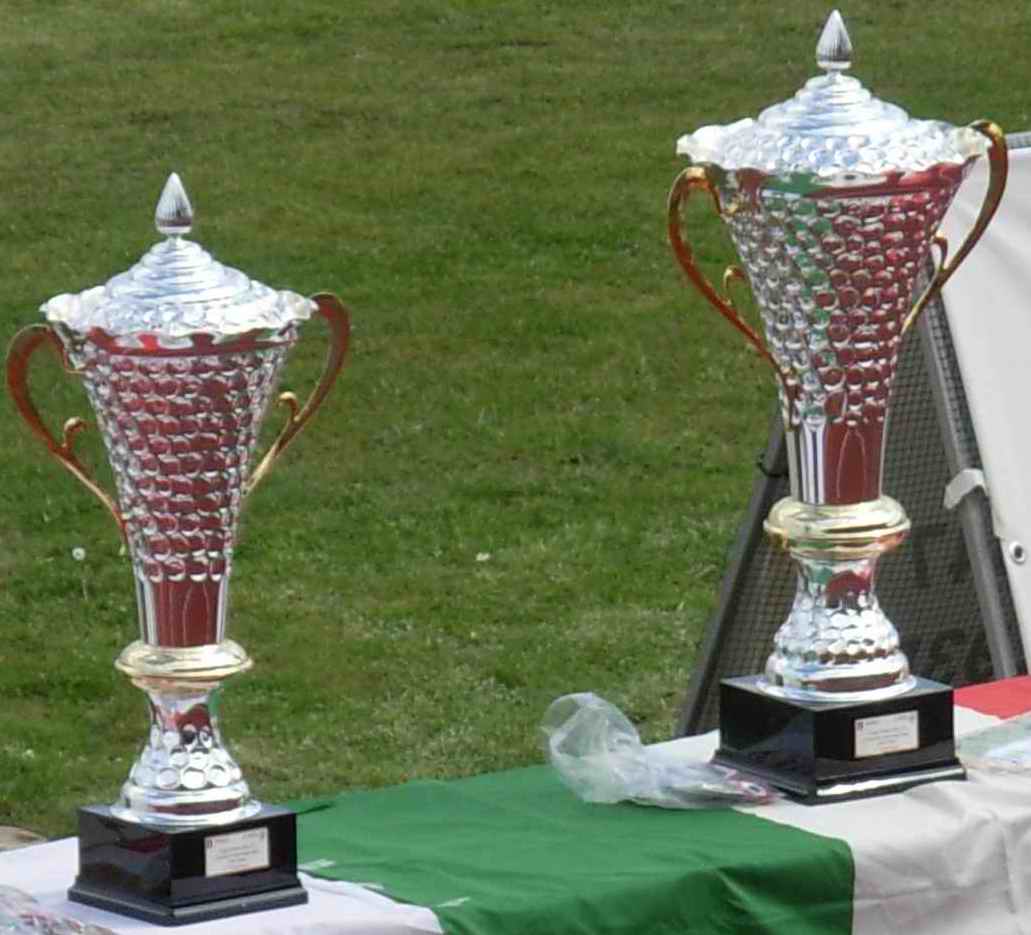 Ecco i quarti della Coppa Italia Eccellenza.