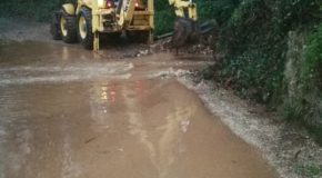 Morolo, un albero cade sulla porta… e anche a Palestrina non si è giocato